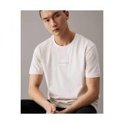 T-shirt Korte Mouw Calvin Klein Jeans J30J325649