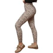 Legging La Modeuse 73460_P173217