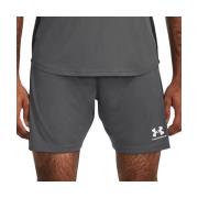 Korte Broek Under Armour -