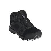 Wandelschoenen adidas Terrex Boa Rrdy