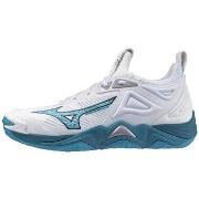 Wandelschoenen Mizuno Wave Momentum 3