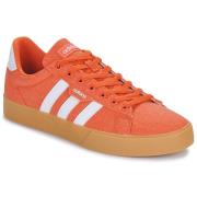 Lage Sneakers adidas DAILY 3.0