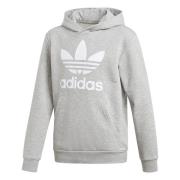 Sweater adidas TREFOIL HOODIE