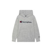 Sweater Champion -