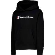 Sweater Champion -