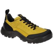 Nette Schoenen Ecco -