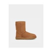 Laarzen UGG 1016223 CLASSIC SHORT II