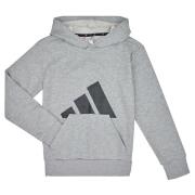 Sweater adidas JC9669