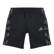 Korte Broek adidas JC7498