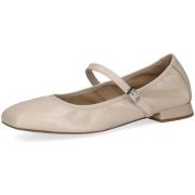 Ballerina's Caprice -