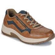 Lage Sneakers Rieker -