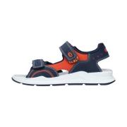 Lage Sneakers Primigi 7399100