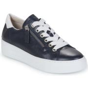 Lage Sneakers Gabor 2646566