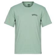 T-shirt Korte Mouw Dickies DICKIES SNAKE SS TEE