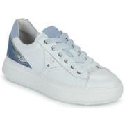 Lage Sneakers NeroGiardini E513040D