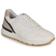 Lage Sneakers NeroGiardini E500650U