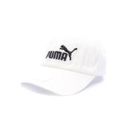 Pet Puma -