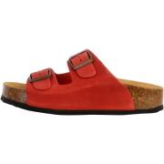 Slippers Plakton 250376