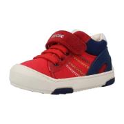 Sneakers Geox B JAYJ BOY C