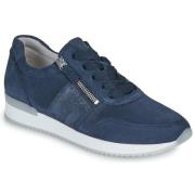 Lage Sneakers Gabor 63420