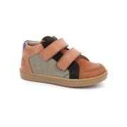 Hoge Sneakers Aster Woucikro