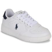 Lage Sneakers Polo Ralph Lauren MASTER COURT