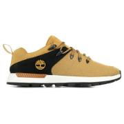 Sneakers Timberland Sprint Trekker Low Knit