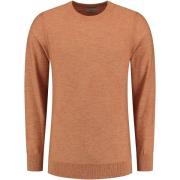 Sweater Dstrezzed Mercury Crew Trui Oranje