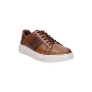 Sneakers Fluchos MANDEN BOSTON F2043
