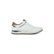 Lage Sneakers Kangaroos SNEAKERS 843