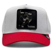 Pet Goorin -