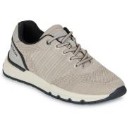 Lage Sneakers Tom Tailor ETTORE