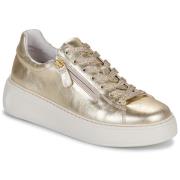 Lage Sneakers Gabor 66488