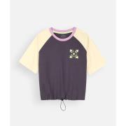 T-shirt Korte Mouw Oxbow Strak kleurblok T-shirt TAROUN