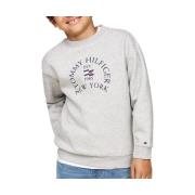 Sweater Tommy Hilfiger -