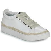 Lage Sneakers Adige QUINCY