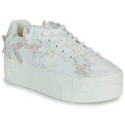 Lage Sneakers Buffalo PAIRED BUTTERFLY