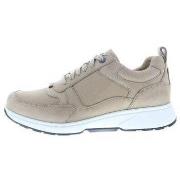 Sneakers Xsensible Basel