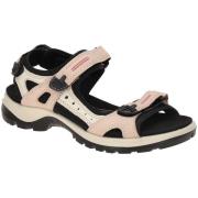 Fitness Schoenen Ecco -