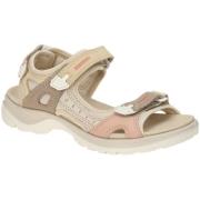 Fitness Schoenen Ecco -