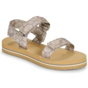 Teenslippers Roxy ROXY CAGE