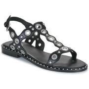 Sandalen Ash POP