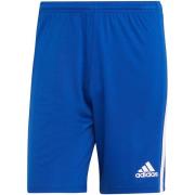 Korte Broek adidas adidas Squadra 21 Shorts