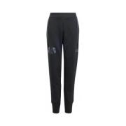 Trainingsbroek adidas in7288
