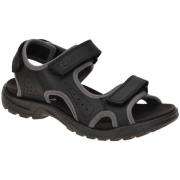 Fitness Schoenen Ecco -