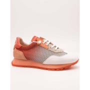 Sneakers Hispanitas -