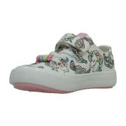 Sneakers Osito OSSH154025