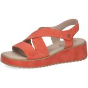 Sandalen Caprice -