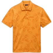 Polo Shirt Korte Mouw Napapijri Polo Brolio