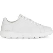 Sneakers Geox Baskets en cuir nappa Spherica ECUB-1